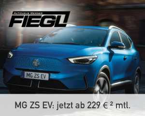 MG ZS EV Ab 229 €